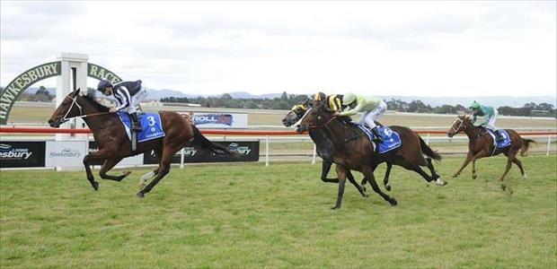 Hollywood Mistress - Hawkesbury - 7/7/2016